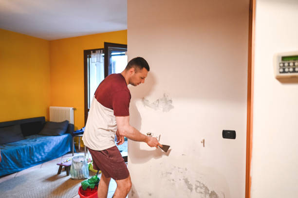 Best Mold Remediation Experts  in La Center, WA